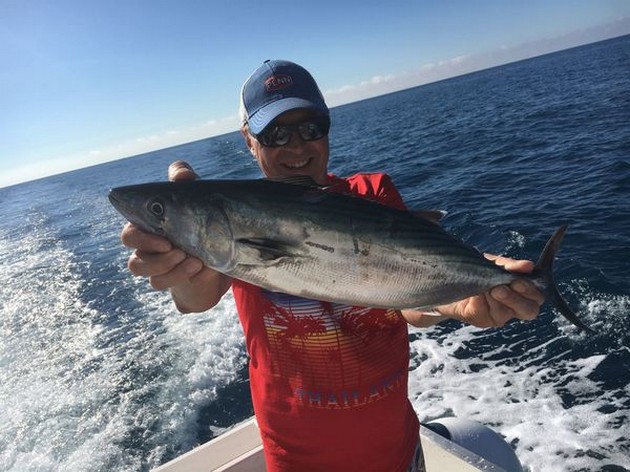 Atlantic Bonito caught by Kaarlo Cavalier & Blue Marlin Sport Fishing Gran Canaria