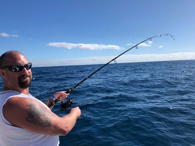 Hooked Up Cavalier & Blue Marlin Sport Fishing Gran Canaria