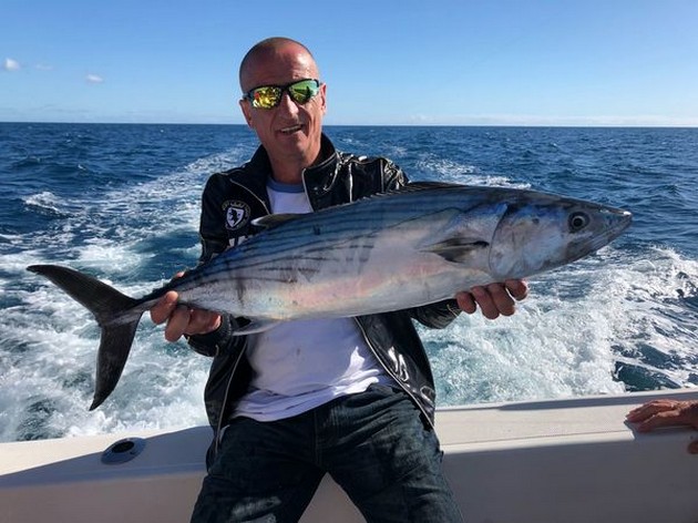 North Atlantic Bonito Cavalier & Blue Marlin Sport Fishing Gran Canaria
