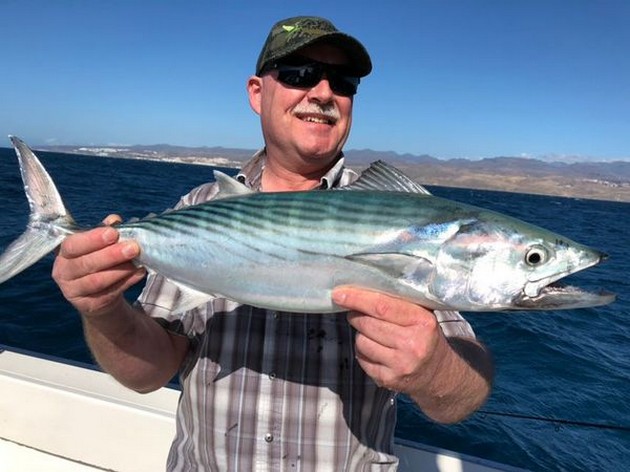 North Atlantic Bonito Cavalier & Blue Marlin Sport Fishing Gran Canaria