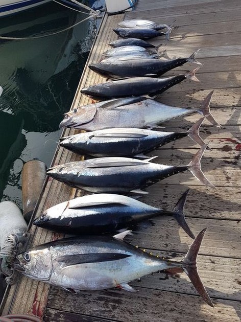  - Cavalier & Blue Marlin Sport Fishing Gran Canaria