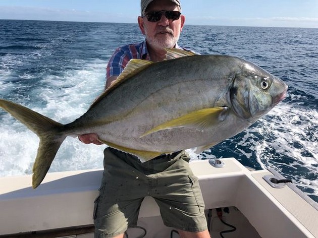 Yellow Jack Cavalier & Blue Marlin Sport Fishing Gran Canaria