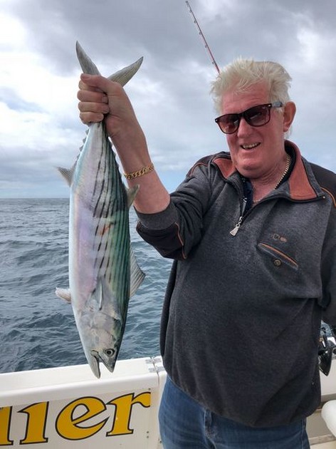 North Atlantic Bonito - Nice catch on the boat Cavalier Cavalier & Blue Marlin Sport Fishing Gran Canaria