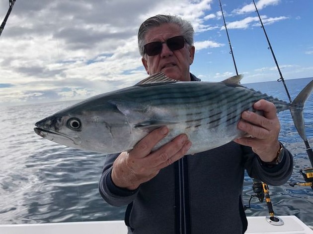 North Atlantic Bonito - Teunis Lansing caught this Atlantic Bonito this morning on the Cavalier Cavalier & Blue Marlin Sport Fishing Gran Canaria