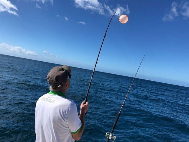 February Photo Archive 2018 Cavalier & Blue Marlin Sport Fishing Gran Canaria