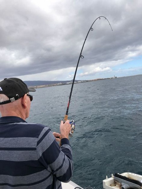 February Photo Archive 2018 Cavalier & Blue Marlin Sport Fishing Gran Canaria