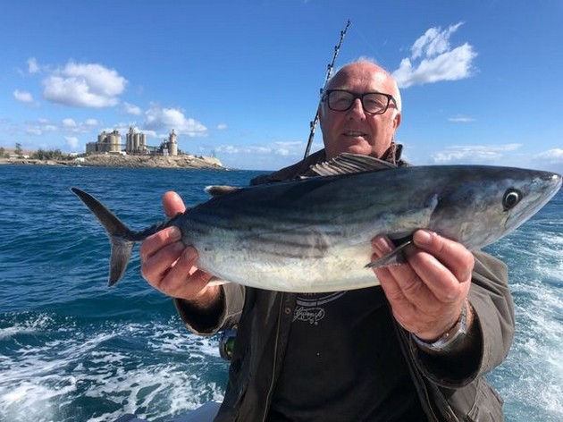 February Photo Archive 2018 Cavalier & Blue Marlin Sport Fishing Gran Canaria