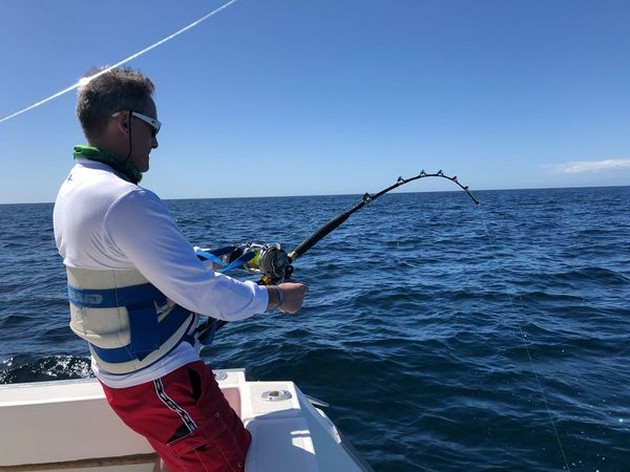 Blauwvin op 50 lbs Cavalier & Blue Marlin Sport Fishing Gran Canaria