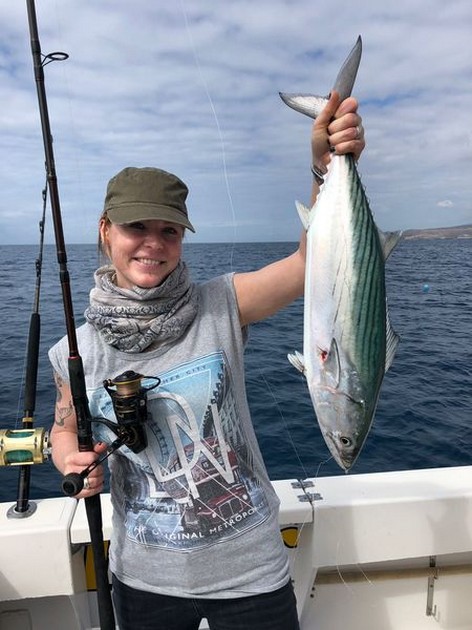 February Photo Archive 2018 Cavalier & Blue Marlin Sport Fishing Gran Canaria