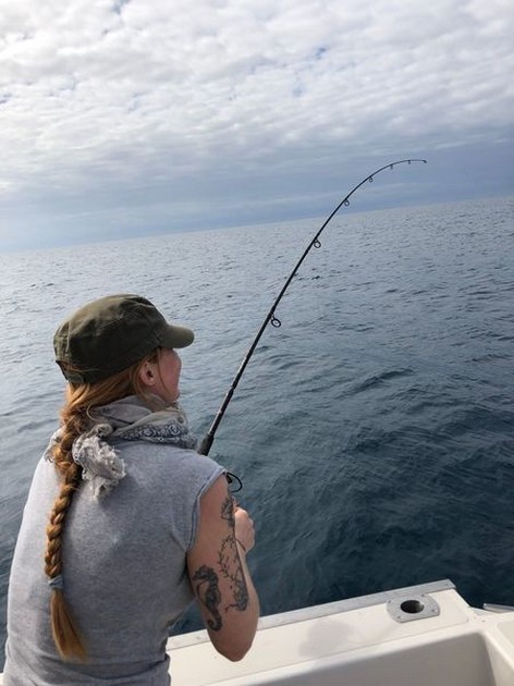 February Photo Archive 2018 Cavalier & Blue Marlin Sport Fishing Gran Canaria