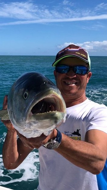 February Photo Archive 2018 Cavalier & Blue Marlin Sport Fishing Gran Canaria