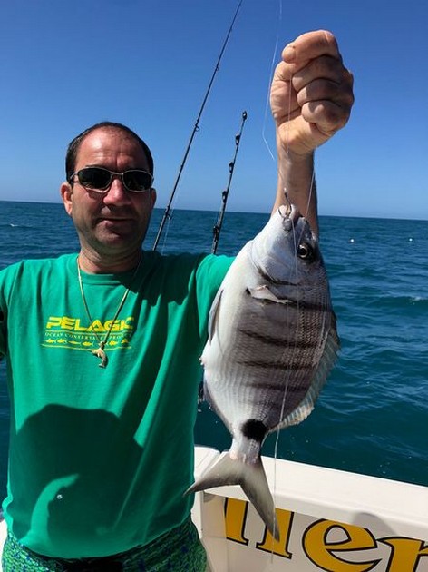 March Photo Archive 2018 Cavalier & Blue Marlin Sport Fishing Gran Canaria