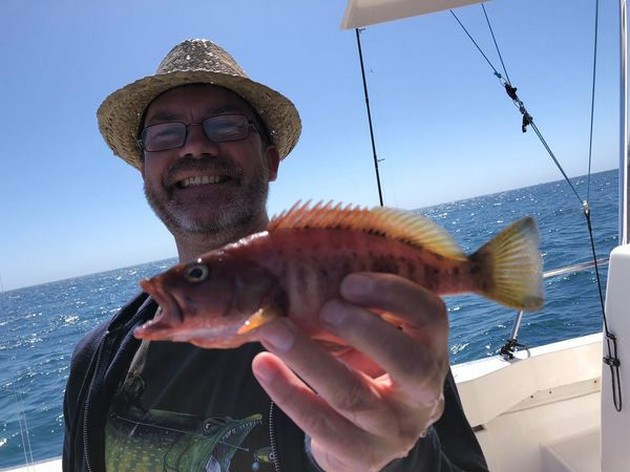 March Photo Archive 2018 Cavalier & Blue Marlin Sport Fishing Gran Canaria