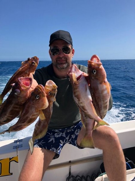 March Photo Archive 2018 Cavalier & Blue Marlin Sport Fishing Gran Canaria