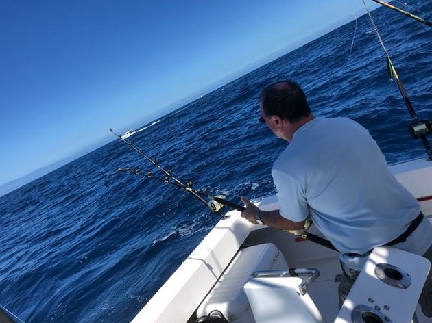 March Photo Archive 2018 Cavalier & Blue Marlin Sport Fishing Gran Canaria