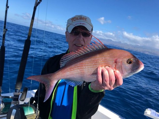 March Photo Archive 2018 Cavalier & Blue Marlin Sport Fishing Gran Canaria