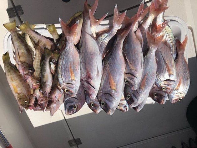 March Photo Archive 2018 Cavalier & Blue Marlin Sport Fishing Gran Canaria