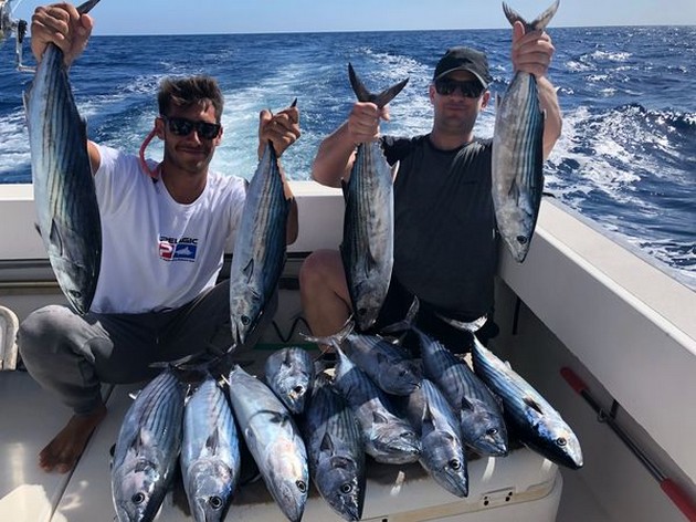 North Atlantic Bonito caught on the boat Cavalier Cavalier & Blue Marlin Sport Fishing Gran Canaria