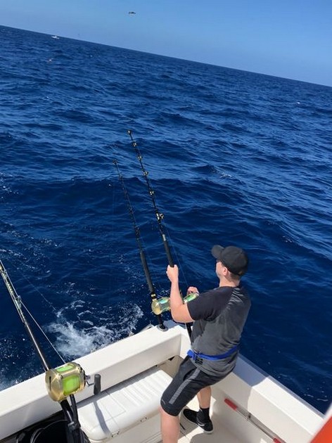 Hooked Up Cavalier & Blue Marlin Sport Fishing Gran Canaria