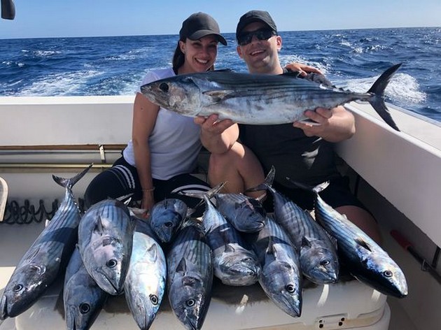 Congratulations , 14 North Atlantic Bonito Cavalier & Blue Marlin Sport Fishing Gran Canaria