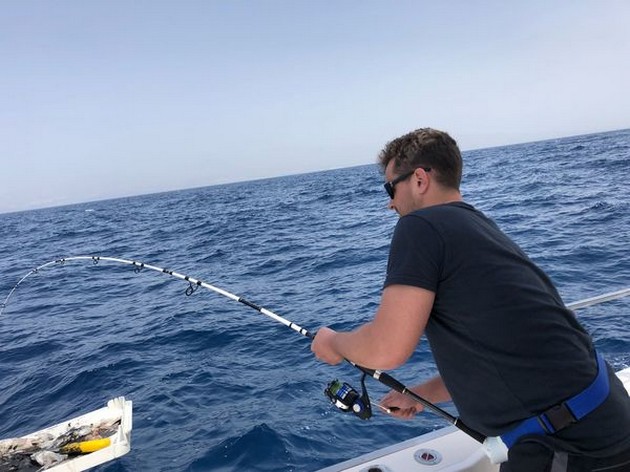 March Photo Archive 2018 Cavalier & Blue Marlin Sport Fishing Gran Canaria