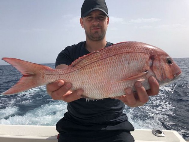 March Photo Archive 2018 Cavalier & Blue Marlin Sport Fishing Gran Canaria