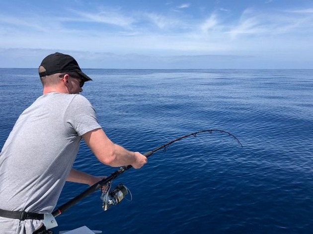 Hooked Up Cavalier & Blue Marlin Sport Fishing Gran Canaria