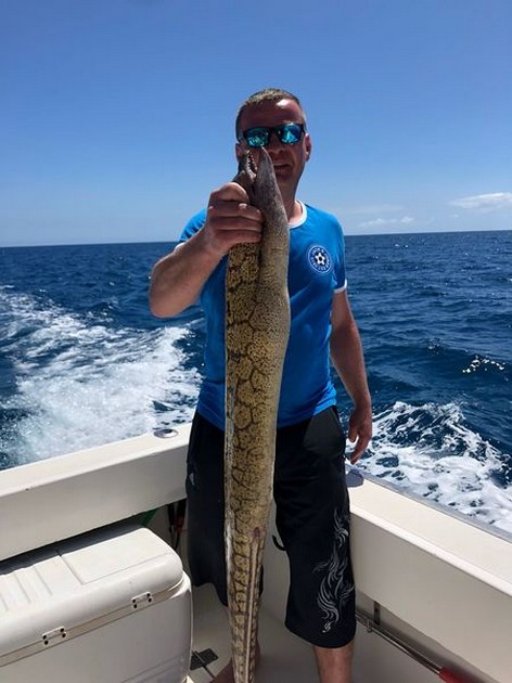Tiger Moray Cavalier & Blue Marlin Sport Fishing Gran Canaria