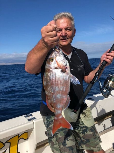 Sea Bream Cavalier & Blue Marlin Sport Fishing Gran Canaria