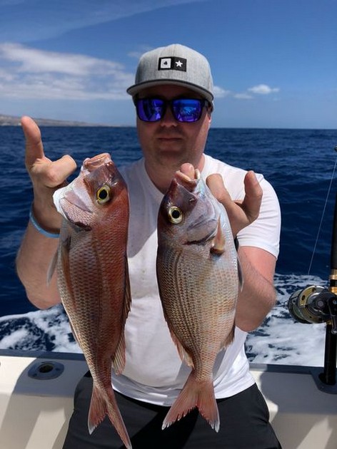 Seabreams Cavalier & Blue Marlin Sport Fishing Gran Canaria