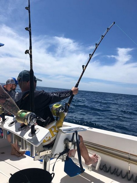 Hooked Up Cavalier & Blue Marlin Sport Fishing Gran Canaria
