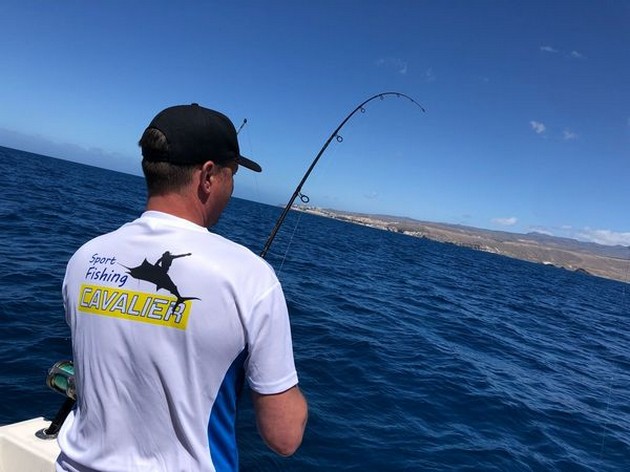Hooked Up Cavalier & Blue Marlin Sport Fishing Gran Canaria