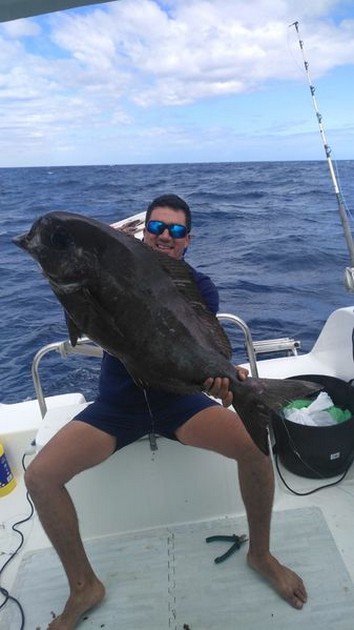 Pompano Cavalier & Blue Marlin Sport Fishing Gran Canaria