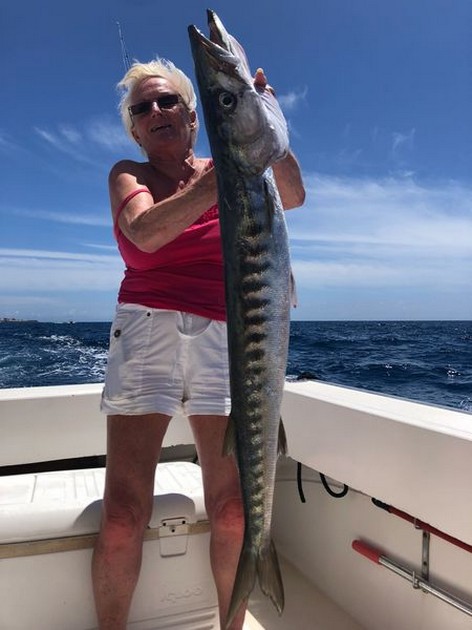 Barracuda Cavalier & Blue Marlin Sport Fishing Gran Canaria