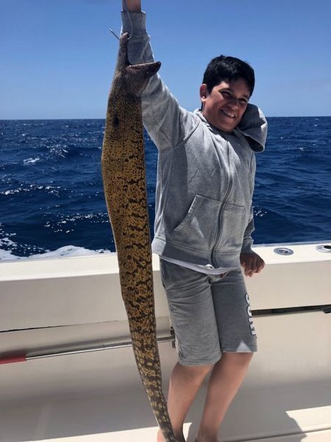 Tiger Moray Cavalier & Blue Marlin Sport Fishing Gran Canaria
