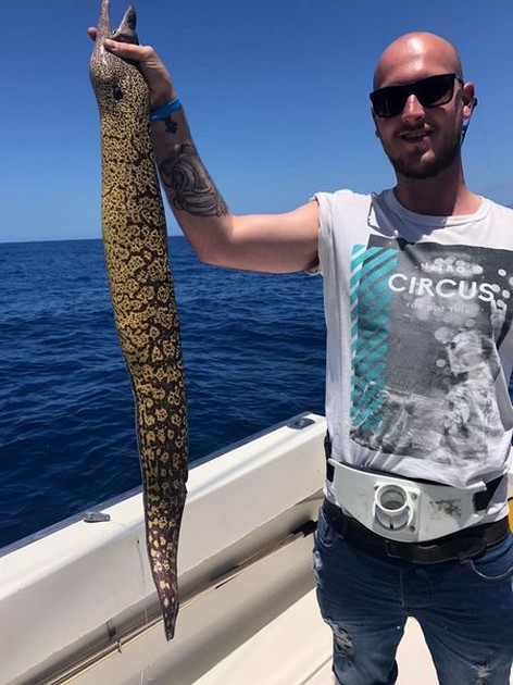 Tiger Moray Cavalier & Blue Marlin Sport Fishing Gran Canaria