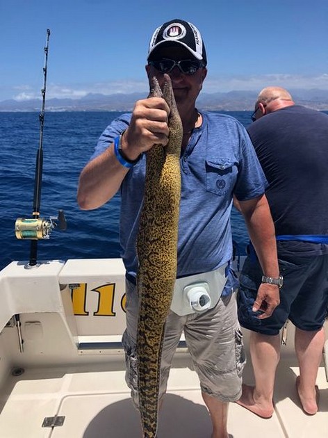 Tiger Moray Cavalier & Blue Marlin Sport Fishing Gran Canaria