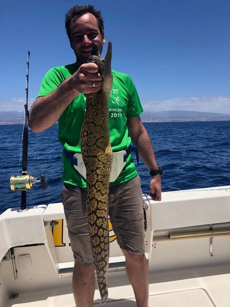 Tiger Moray Cavalier & Blue Marlin Sport Fishing Gran Canaria
