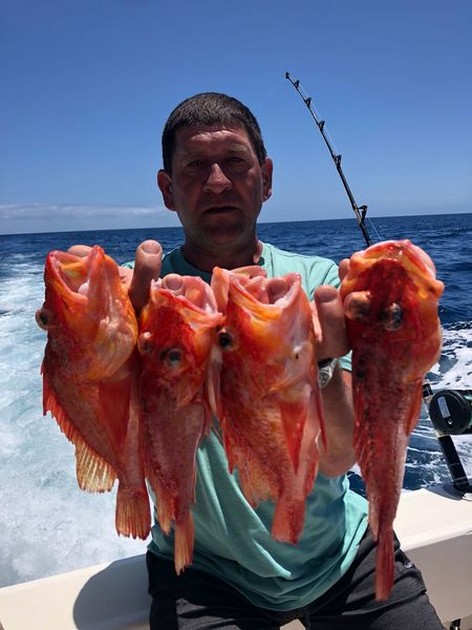 Congratulations Cavalier & Blue Marlin Sport Fishing Gran Canaria