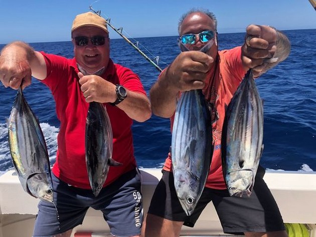 Skipjack Tuna Cavalier & Blue Marlin Sport Fishing Gran Canaria