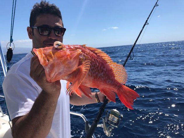 Scorpion fish Cavalier & Blue Marlin Sport Fishing Gran Canaria