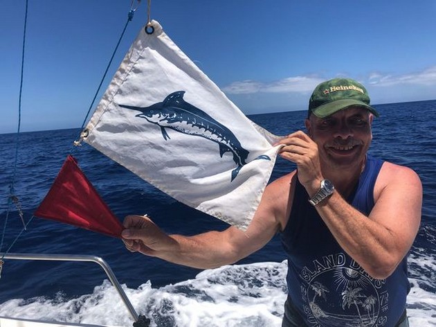 300 lbs Blue Marlin Cavalier & Blue Marlin Sport Fishing Gran Canaria