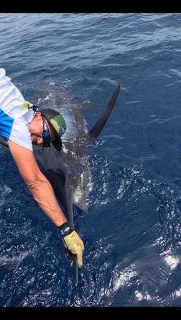  - Cavalier & Blue Marlin Sport Fishing Gran Canaria