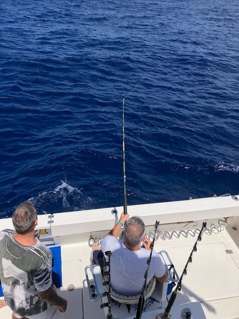 Hooked up Cavalier & Blue Marlin Sport Fishing Gran Canaria