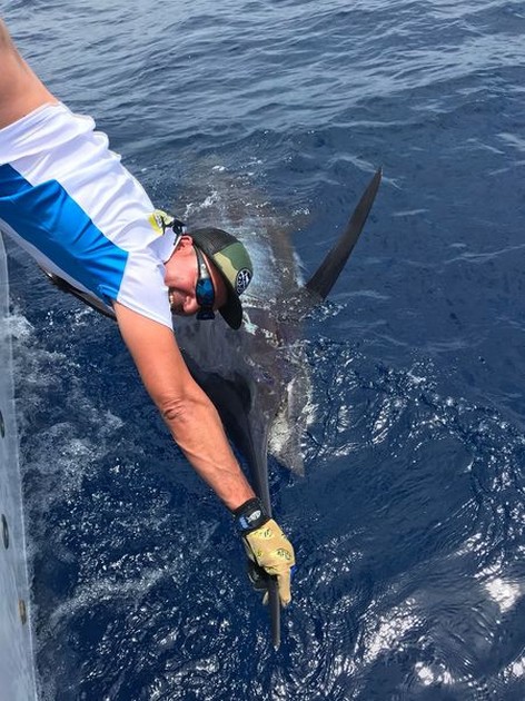 Release me Cavalier & Blue Marlin Sport Fishing Gran Canaria