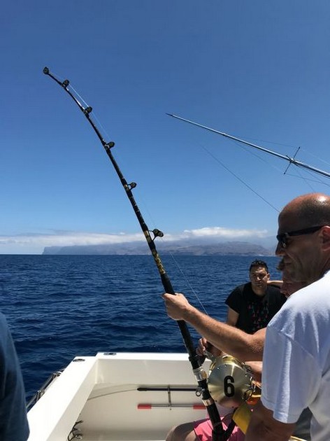 Hooked Up Cavalier & Blue Marlin Sport Fishing Gran Canaria