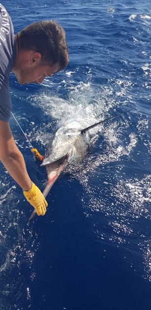 Release Me Cavalier & Blue Marlin Sport Fishing Gran Canaria