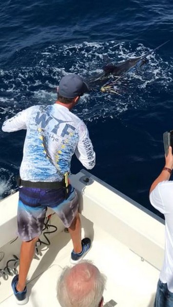 Release Me Cavalier & Blue Marlin Sport Fishing Gran Canaria