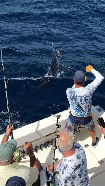 Release Me Cavalier & Blue Marlin Sport Fishing Gran Canaria