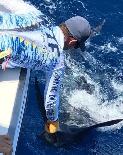 Release Me Cavalier & Blue Marlin Sport Fishing Gran Canaria